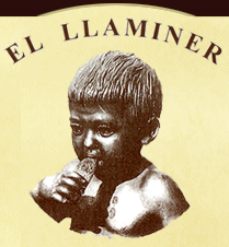 Llaminer